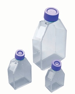 Research Products International Corp&nbsp;Cell Culture Flask, 25 cm<sup>2</sup>, Sterile, with Filter Cap, 200 per Case