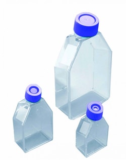 Research Products International Corp Cell Culture Flask, 25cm, Plug Cap