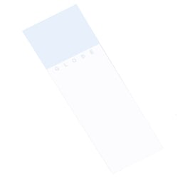 Research Products International Corp&nbsp;Microscope Slides, Ground Edge, Safety Corner, White, 144/pk