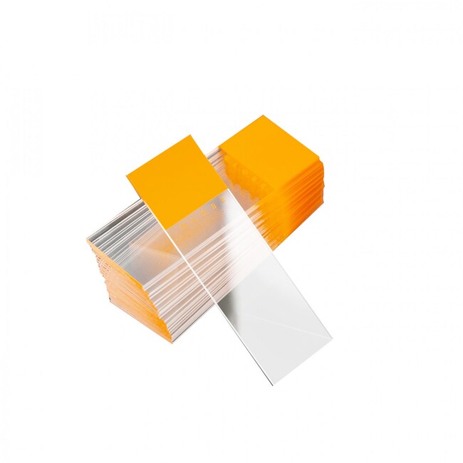 Research Products International Corp Diamond WHT Glass Microscope