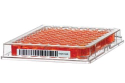 Research Products International Corp&nbsp;Thermal Transfer Tough Tags, 2 x 1/4 Inch Label Size, 1 Inch Core, White, 2000 per Roll