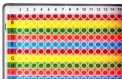 Research Products International Corp 384 Well Color Orienter, Horizontal, 2 per Package
