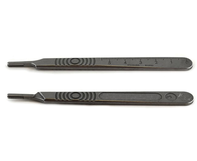 Eisco™ T-Pins for Dissecting