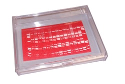 Research Products International Corp Mini-Blotting Containers, 20.5 x 15.9 x 2.5cm, Clear, 4 per Case