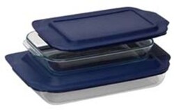 Research Products International Corp Glass Staining Dish, Large, 27 x 37