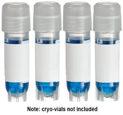 Research Products International Corp Direct Thermal Cryo-Tags, 1.50 x 0.75 inches, Yellow, 750 per roll