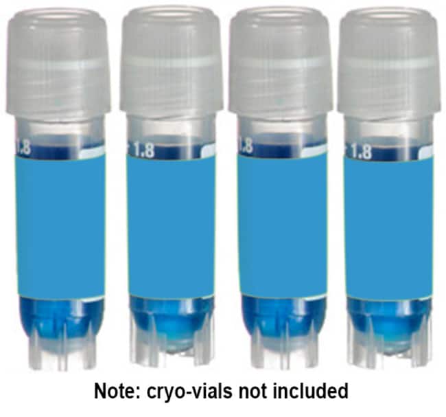 Research Products International Corp TAG, 1.50 x 0.75", BL, 750/rl, Quantity Fisher Scientific