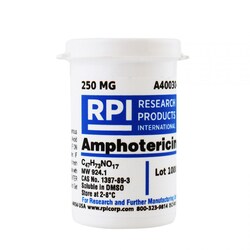 Research Products International Corp Amphotericin, 250 MG, Quantity: Each