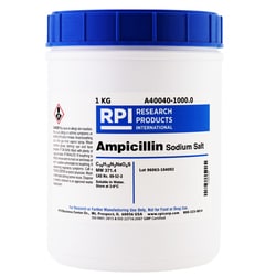 Research Products International Corp Ampicillin, Sodium Salt, 1 KG, Quantity: