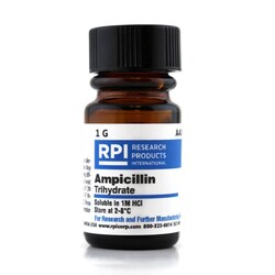 Research Products International Corp Ampicillin Trihydrate, 1 G, Quantity: