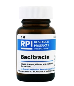 Research Products International Corp&nbsp;Bacitracin, 1 Grams