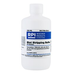 Research Products International Corp&nbsp;Blot Stripping Buffer 4X Solution, 250 ML