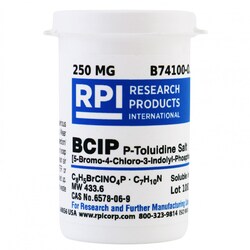 Research Products International Corp&nbsp;BCIP P-Toluidine Salt 250 MG
