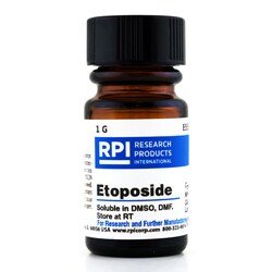 Research Products International Corp Etoposide, 1 Gram