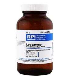 Research Products International Corp Lysozyme, 25 G