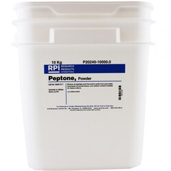 Research Products International Corp&nbsp;Peptone, Powder, 10 KG