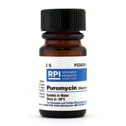 Research Products International Corp&nbsp;Puromycin, 1 G
