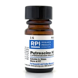 Research Products International Corp Putrescine Dihydrochloride [1,4-Diaminobutane],
