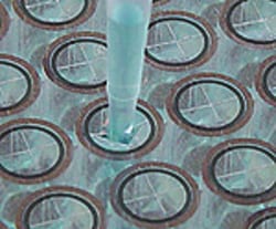 Research Products International Corp X-Pierce Film, Sterile, 50 per Package