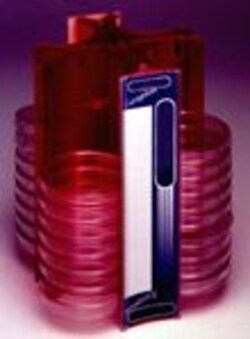 Research Products International Corp Easyplate Petri Dish Rack, Natural,