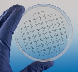 Research Products International Corp PetriSticker, 50 Square Grid, 3 Inch Diameter, 36 per Package