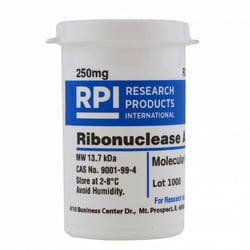 Research Products International Corp&nbsp;Ribonuclease A, Bovine Pancreas, 250 Milligrams