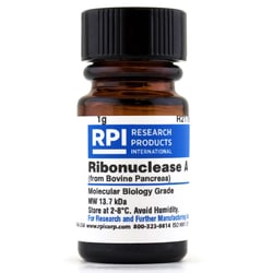 Research Products International Corp&nbsp;Ribonuclease A, Bovine Pancreas, 1 Gram