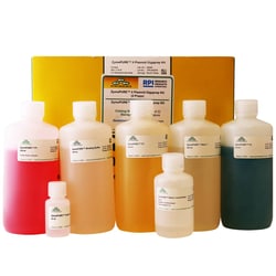 Research Products International Corp ZymoPURE II Plasmid Gigaprep, 5 Preps,