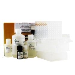 Research Products International Corp&nbsp;EZ-96 DNA Methylation Kit, Deep Well, 2 x 96 Rxns