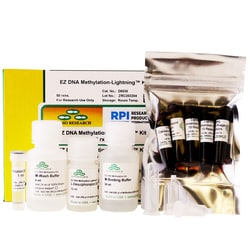 Research Products International Corp EZ DNA Methylation-Lightning Kit,