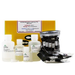 Research Products International Corp EZ DNA Methlyation-Lightning Kit,
