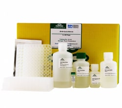 Research Products International Corp ZR-96 Quick-RNA Kit, 4 x 96 Preps
