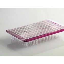 Thomas Scientific&nbsp;PCR Seal 96/8, clear adhesive film, vertically perforated, strong adhesive, 115 x 100 mm, 100/pk