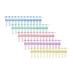 Thomas Scientific 0.2 mL 12-Strip PCR Tubes & Domed Strip Caps Packed Together, Assorted, 80/pk