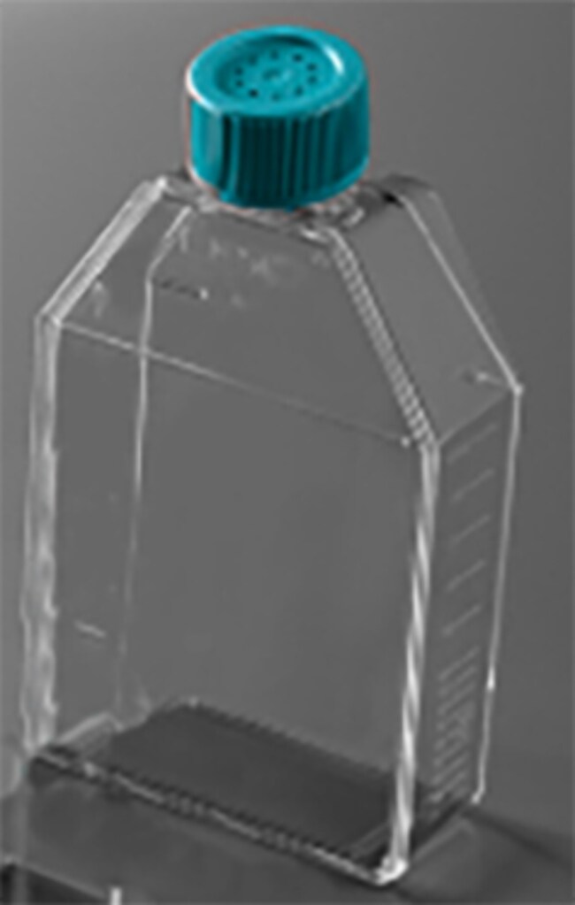 Thomas Scientific Denviller Cell Culture Flasks, 250ml cell culture