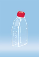 imgrc0088540583.jpg