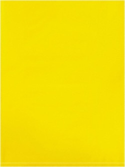 MSC&nbsp;Value Collection PB480Y Pack of (1,000), 9 x 12