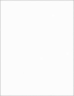 MSC Tape Logic LL224CL Pack of (100), 8-1/2" x 11" Clear Paper Laser Labels