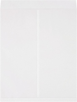 MSC&nbsp;22X27 WHT 100/PK JUMBO ENVELOPE