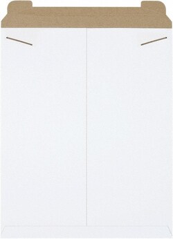 MSC&nbsp;17X21 WHT 100/PK FLAT MAILER