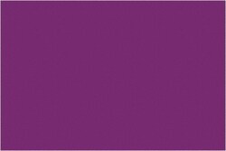MSC 2X3 PURPLE 500/RL TAPE LOGIC RECT LABEL, Quantity: Each of 1