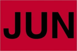 MSC JUN 2X3FLUOR RED 500RL TAPE LOGIC MONTH LABEL, Quantity: Each of 1