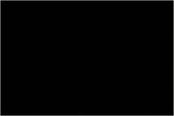 MSC 2X3 BLK 500/RL TAPE LOGIC RECT LABEL, Quantity: Each of 1