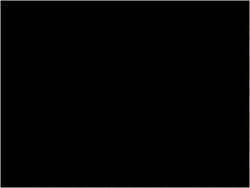 MSC Tape Logic DL631F 4" x 4" Black Paper Inventory Labels For Multi-Use,