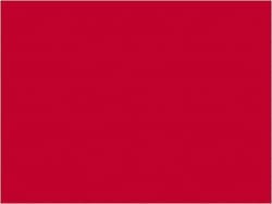 MSC Tape Logic DL631G 4" x 4" Fluorescent Red Paper Inventory Labels For