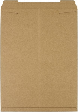 MSC&nbsp;20X27 KRAFT 50/PK FLAT MAILER
