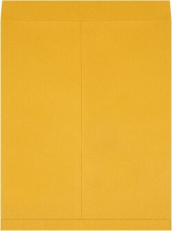 MSC&nbsp;22X27 KRAFT 100/PK JUMBO ENVELOPE