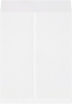 MSC&nbsp;17X22 WHT 250/PK JUMBO ENVELOPE