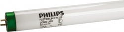 MSC Philips 281790 32 Watt Fluorescent Tubular Medium Bi-Pin Lamp 4,100°K