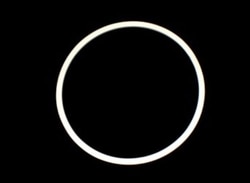 Bellco Glass, Inc. Vessel flange gasket 7l for bioreactor vessels